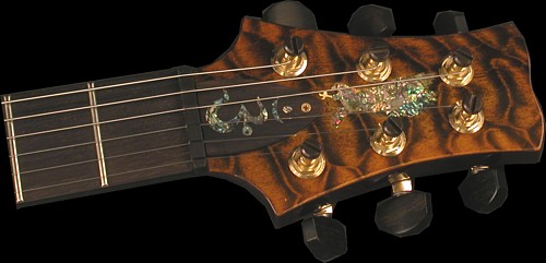 PRS-Private-Stock-Santana-4.jpg (500x241 -- 38901 bytes)