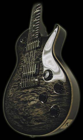 PRS-Private-Stock-Singlecut-5.jpg (288x486 -- 18512 bytes)